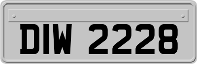 DIW2228