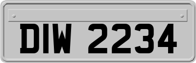 DIW2234