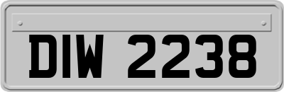 DIW2238