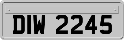 DIW2245