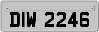 DIW2246