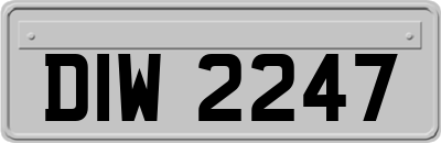 DIW2247