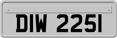 DIW2251