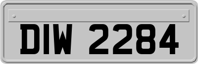 DIW2284