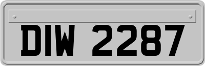 DIW2287