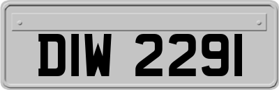 DIW2291