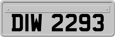 DIW2293