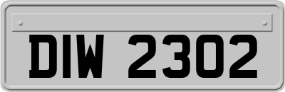 DIW2302