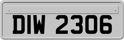 DIW2306