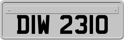 DIW2310