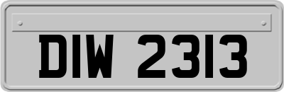 DIW2313
