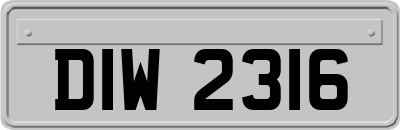 DIW2316