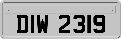 DIW2319