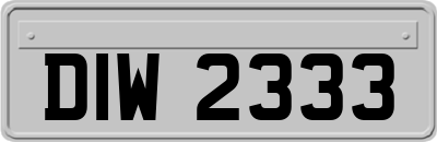 DIW2333