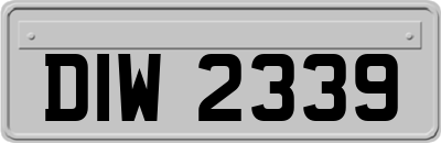 DIW2339