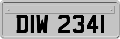DIW2341