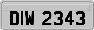 DIW2343