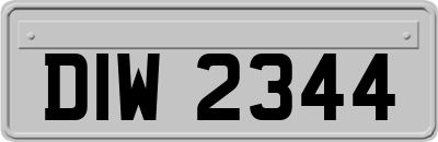 DIW2344
