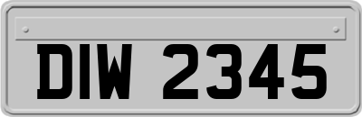 DIW2345