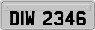 DIW2346
