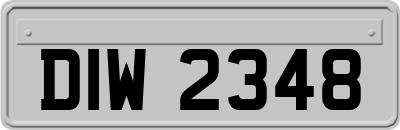 DIW2348