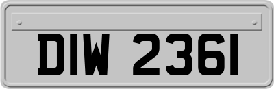 DIW2361