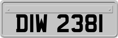 DIW2381