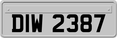 DIW2387