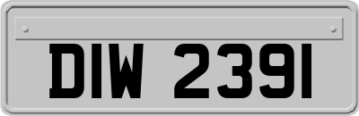 DIW2391
