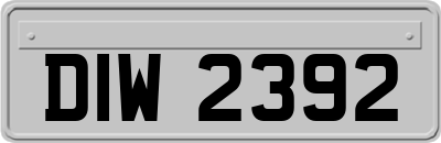 DIW2392