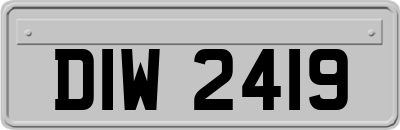 DIW2419