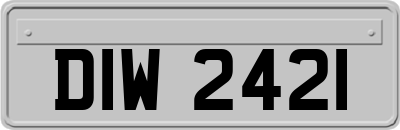 DIW2421
