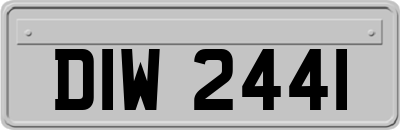 DIW2441