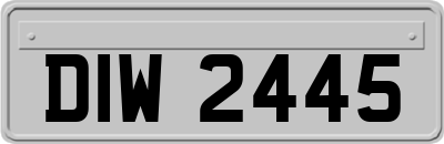 DIW2445
