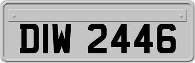 DIW2446