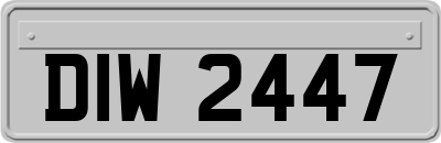 DIW2447