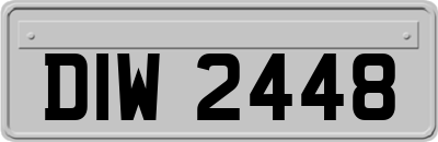 DIW2448
