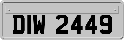 DIW2449