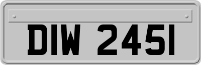 DIW2451