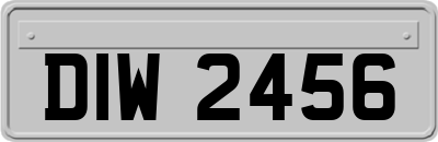 DIW2456