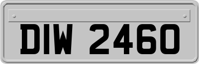 DIW2460