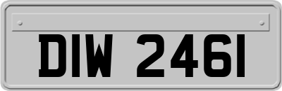 DIW2461