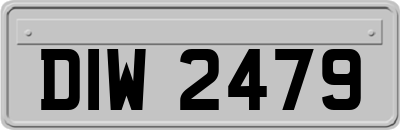DIW2479