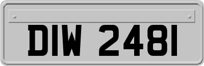 DIW2481