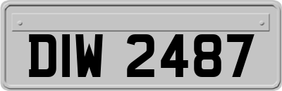 DIW2487