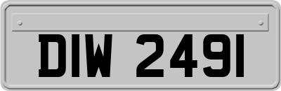 DIW2491