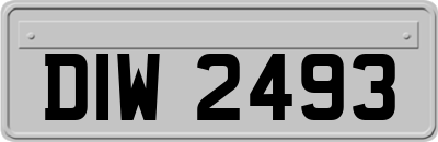DIW2493