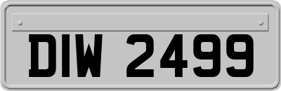 DIW2499