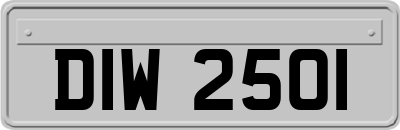DIW2501