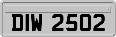 DIW2502